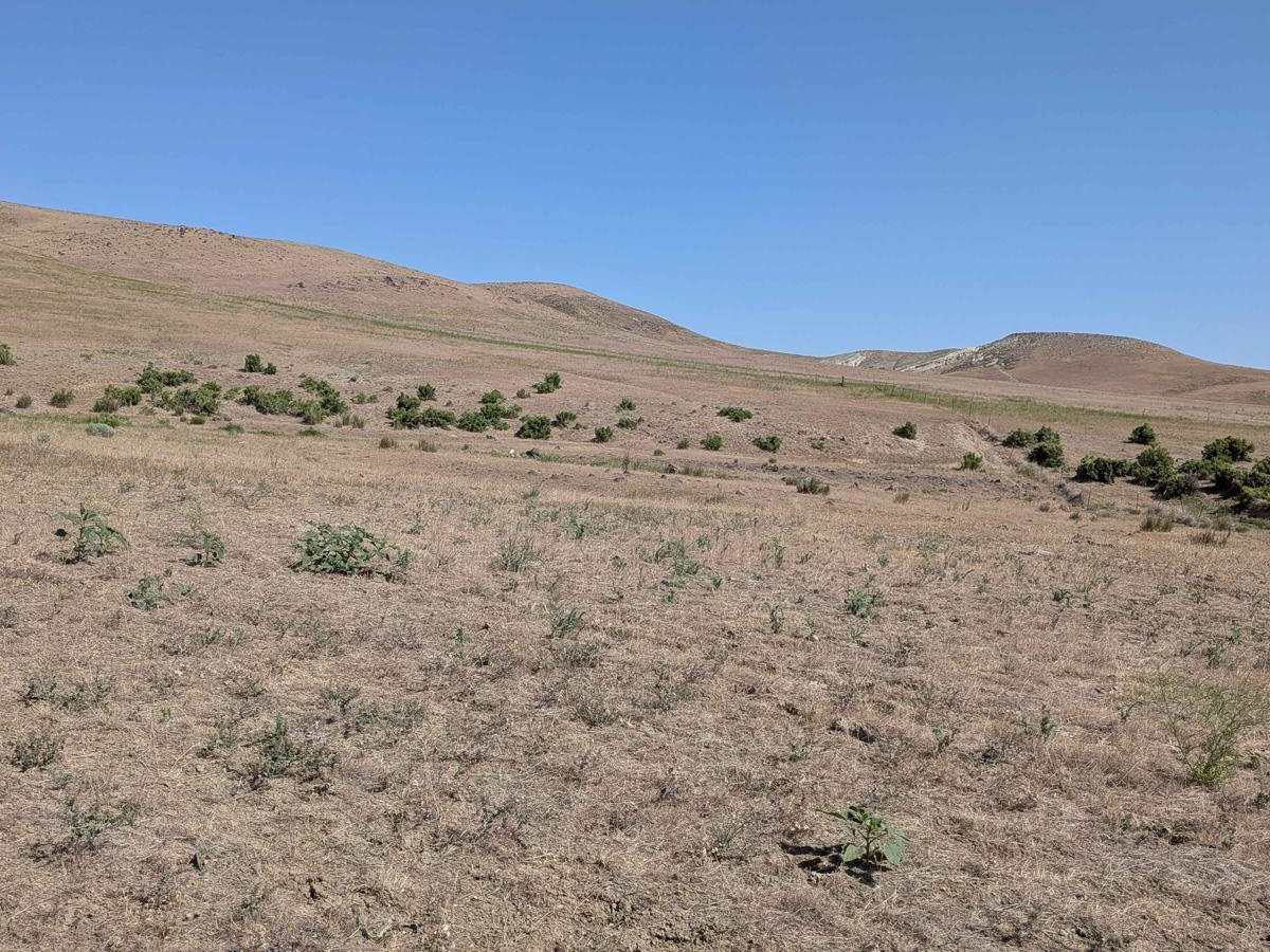Camp Kettle Creek Road Trail photo 2
