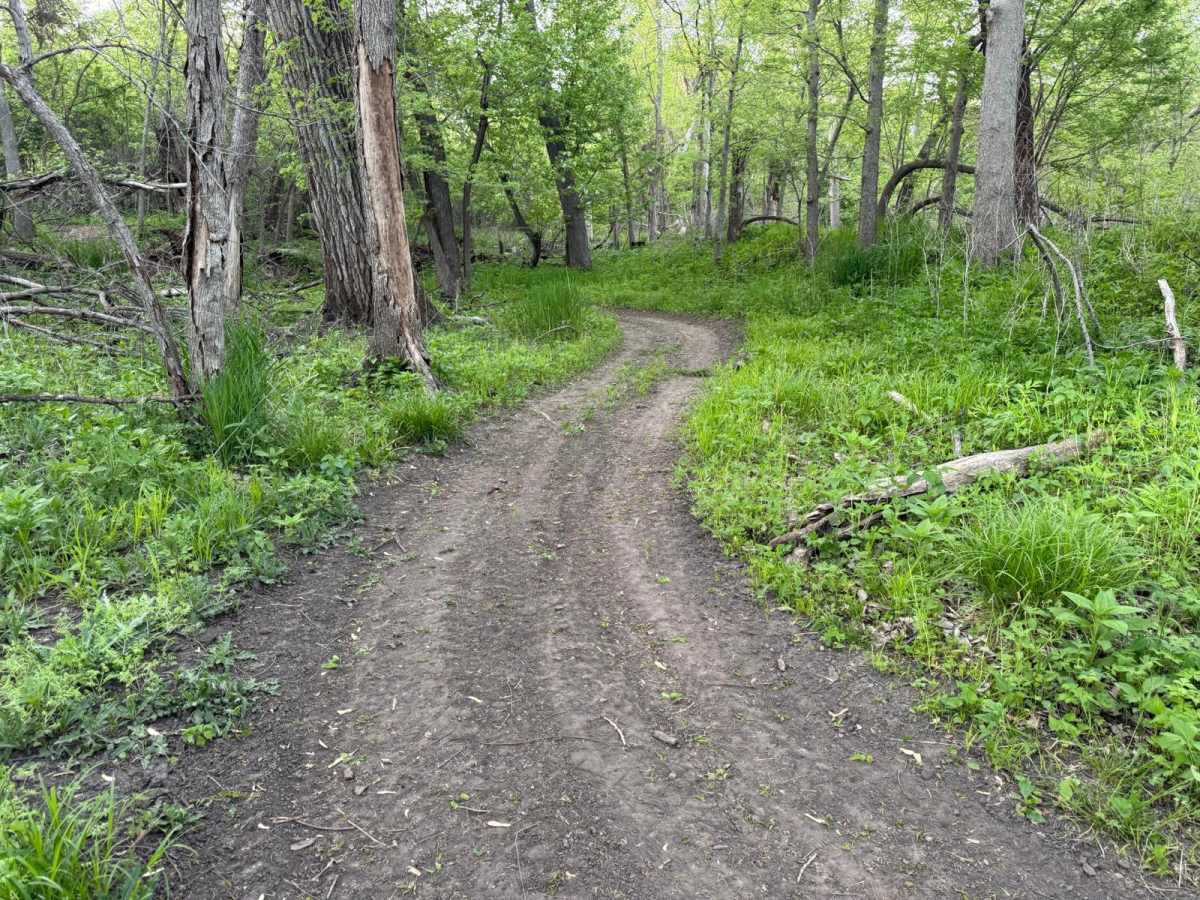 C2 trail photo