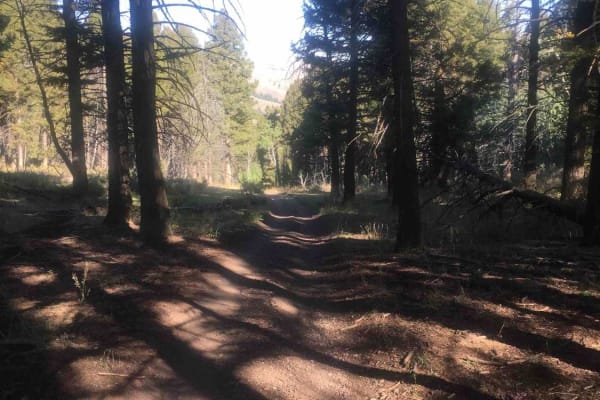 Van Noy-Stoddard Trail