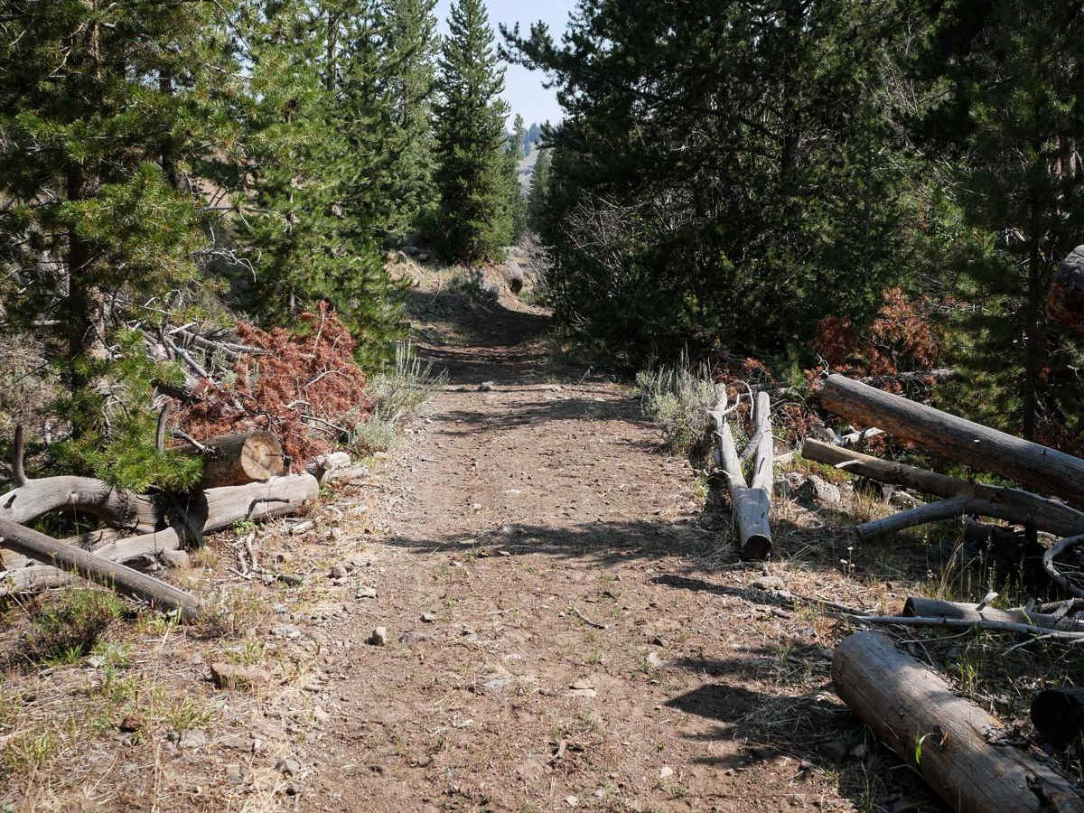 Squaw Creek ATV photo 6