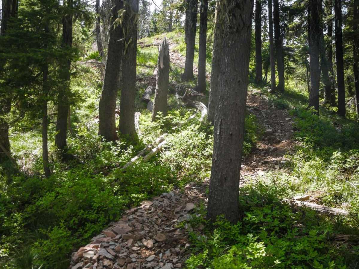 Arid Peak photo 6