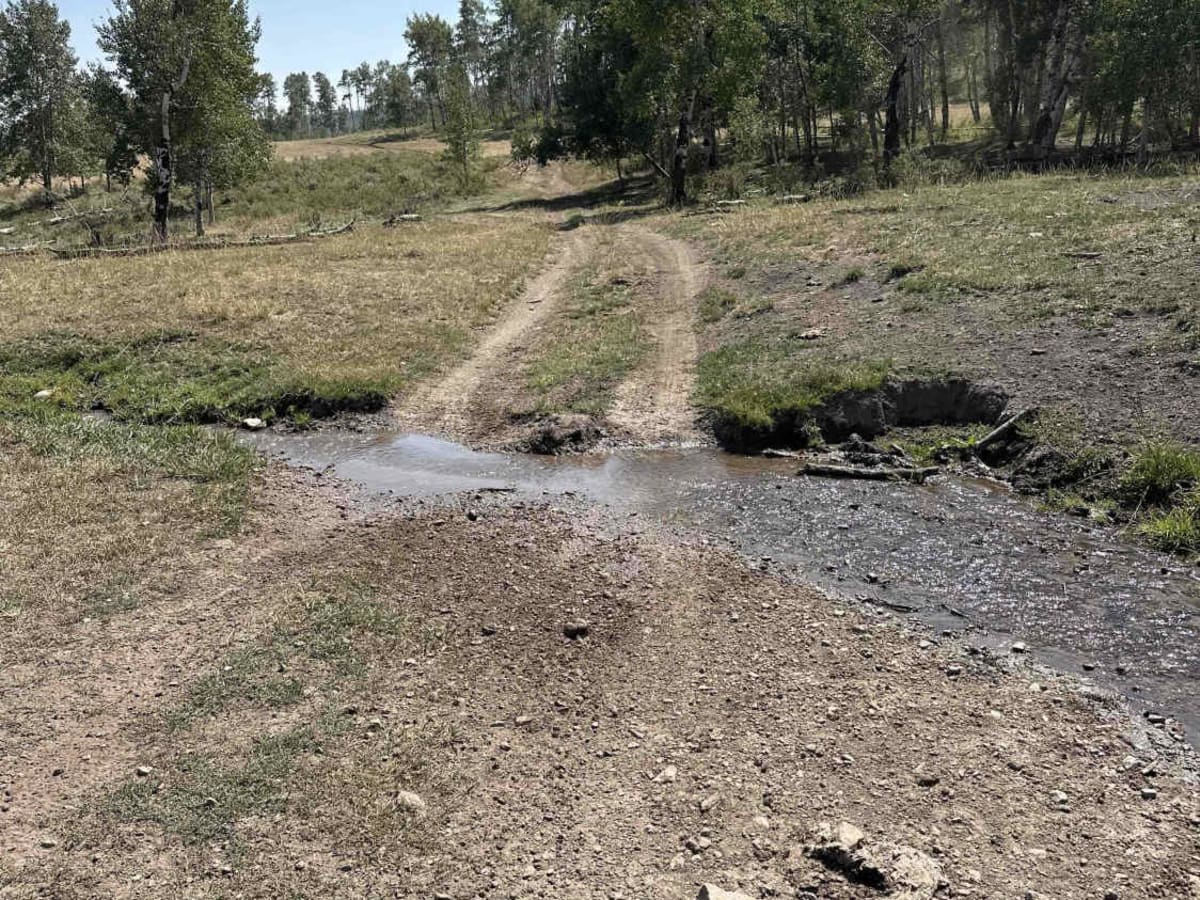 Indian Creek - Cow Camp  trail photo
