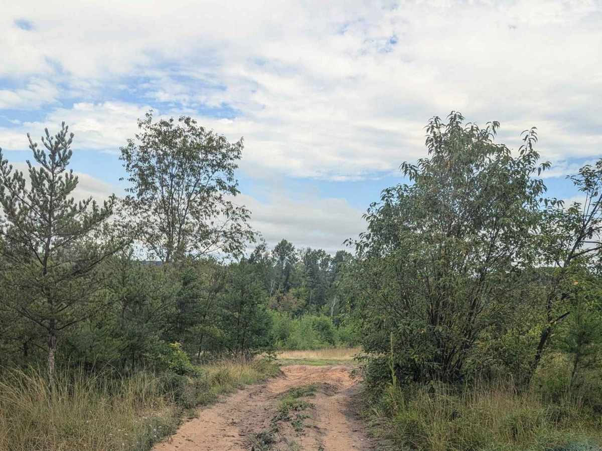 Huron NFS 3063 trail photo