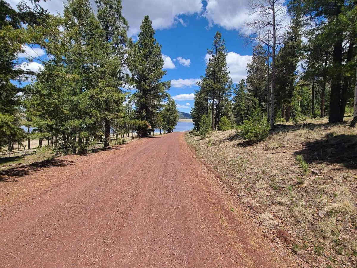 Forest Service Road 112 photo 5