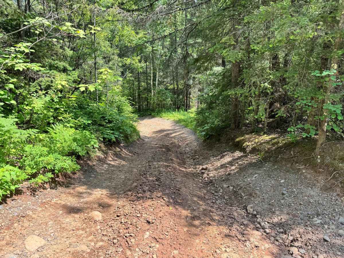 Eager Beaver Loop trail photo