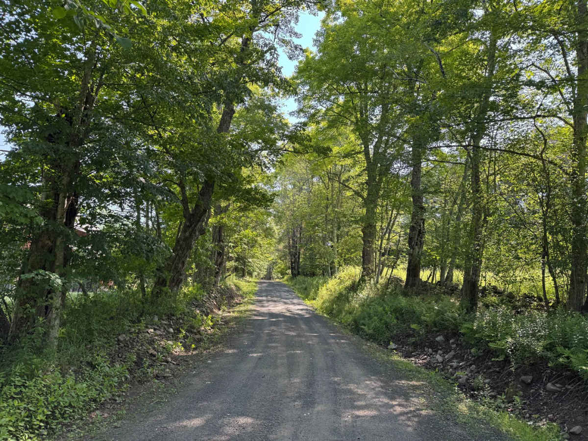 Shin Creek Road photo 3