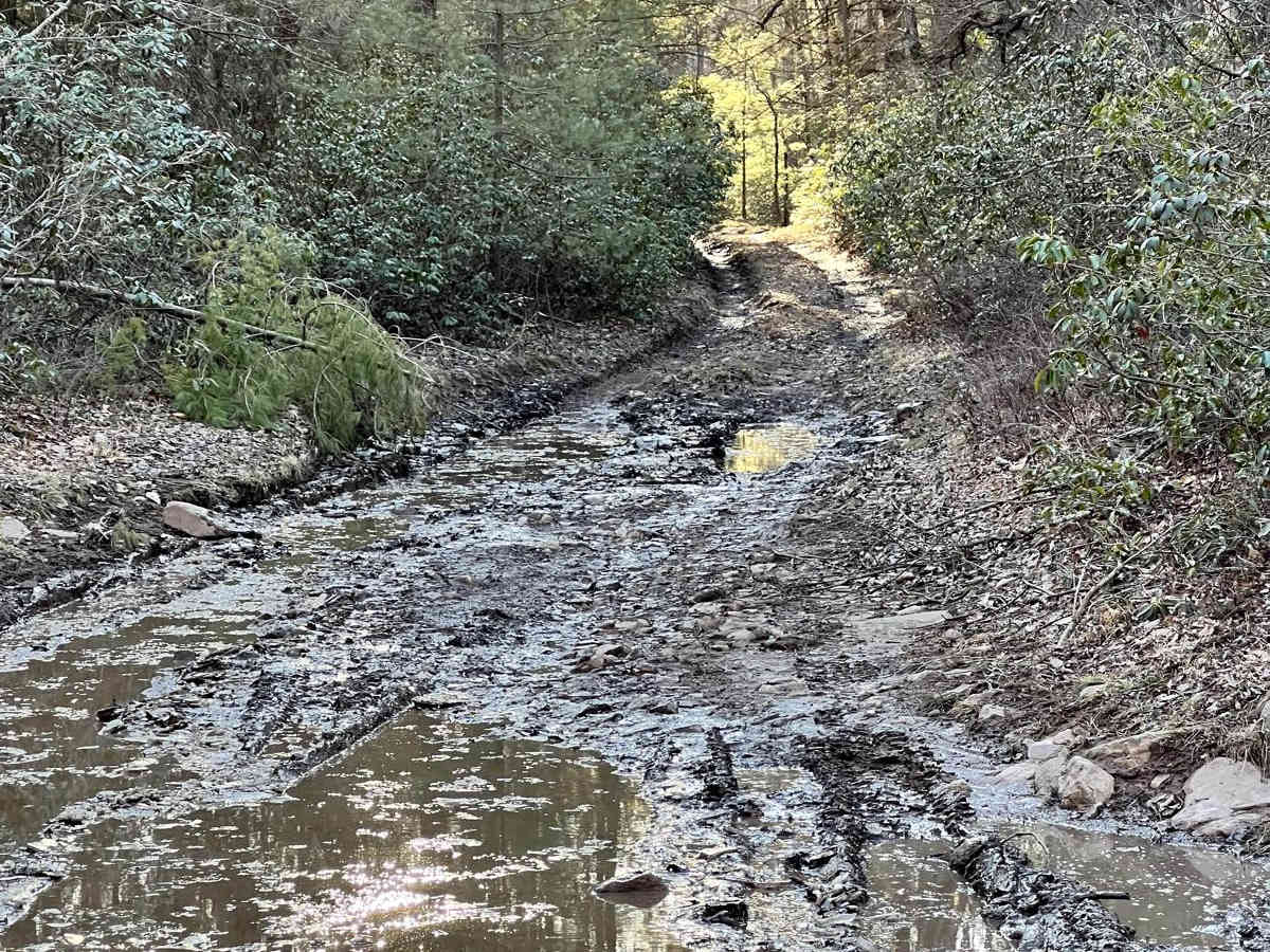 Sharpback Hollow Road photo 5