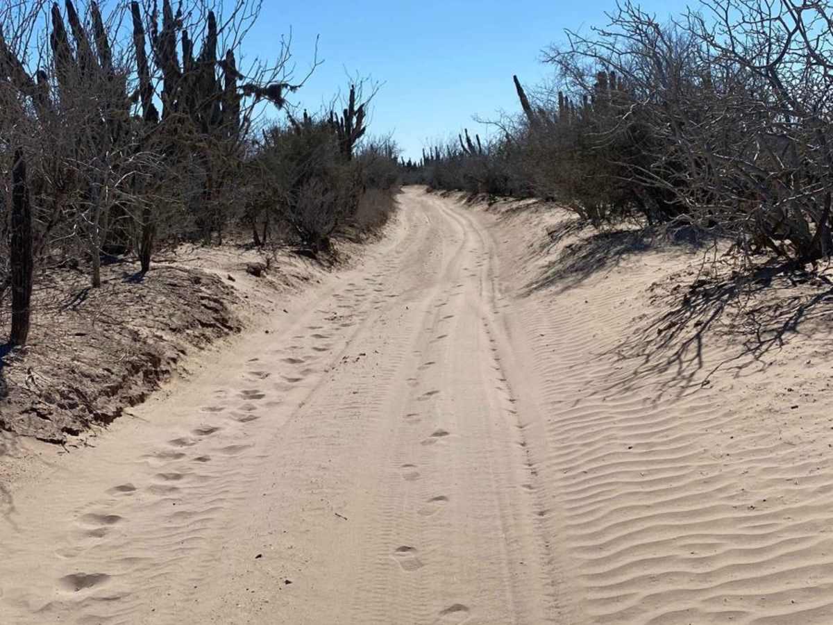 Baja Land Coastal photo 5
