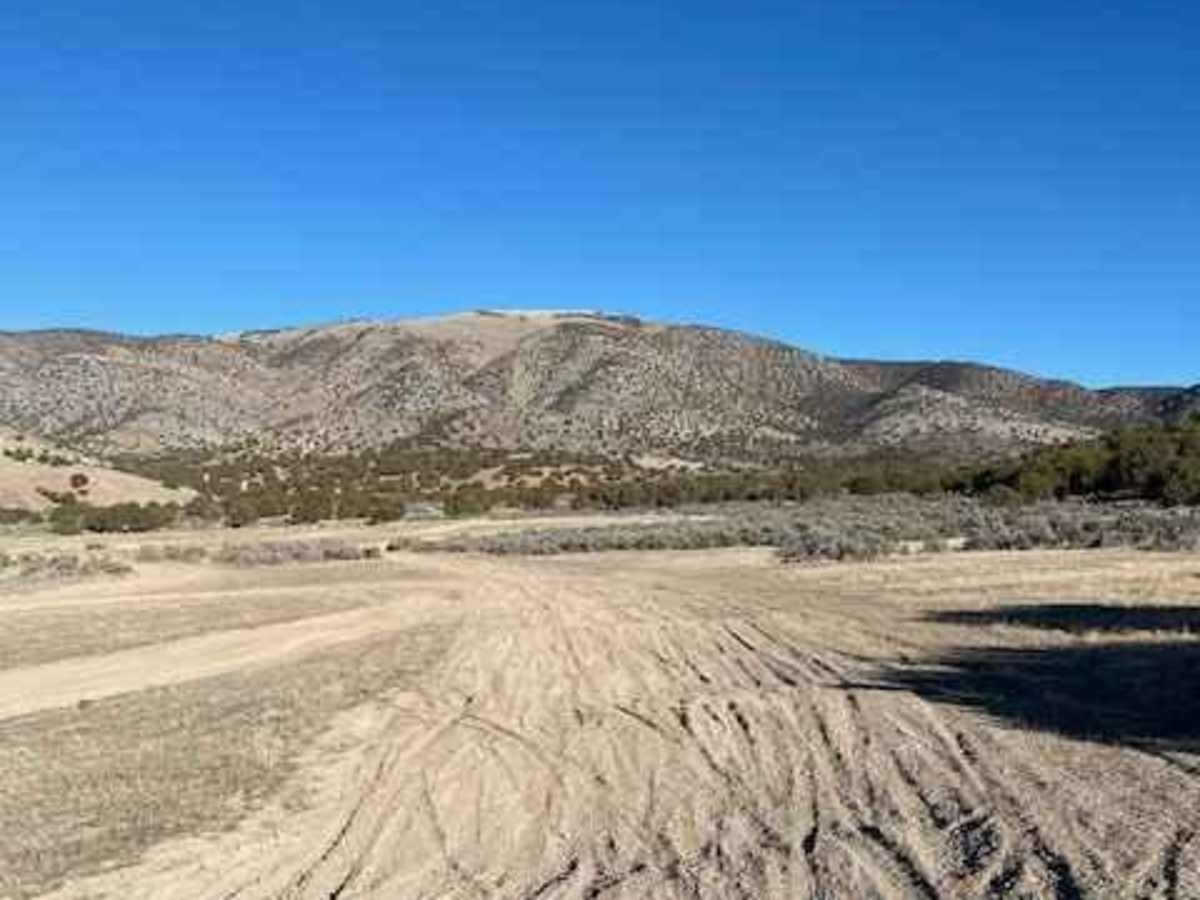 The Back 9 Turn Track photo 6