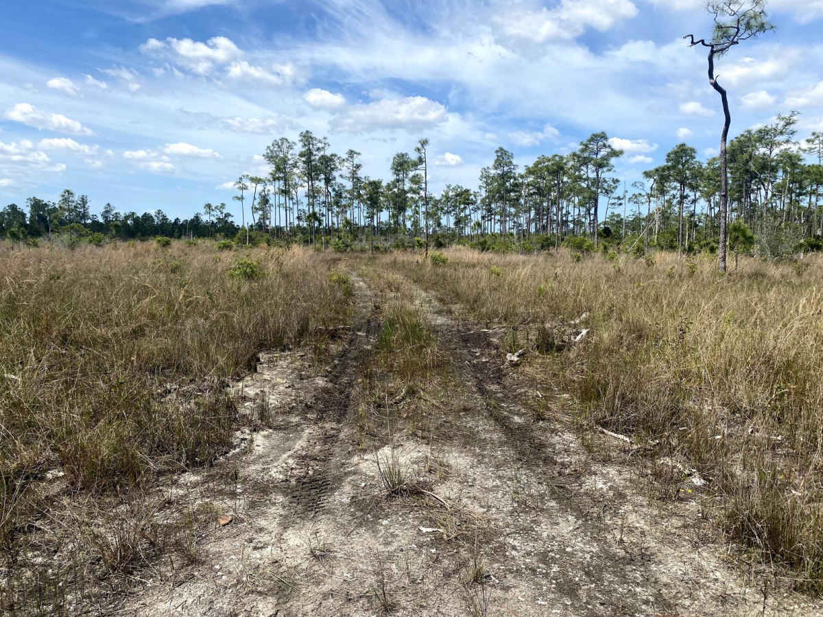Road 8 trail photo