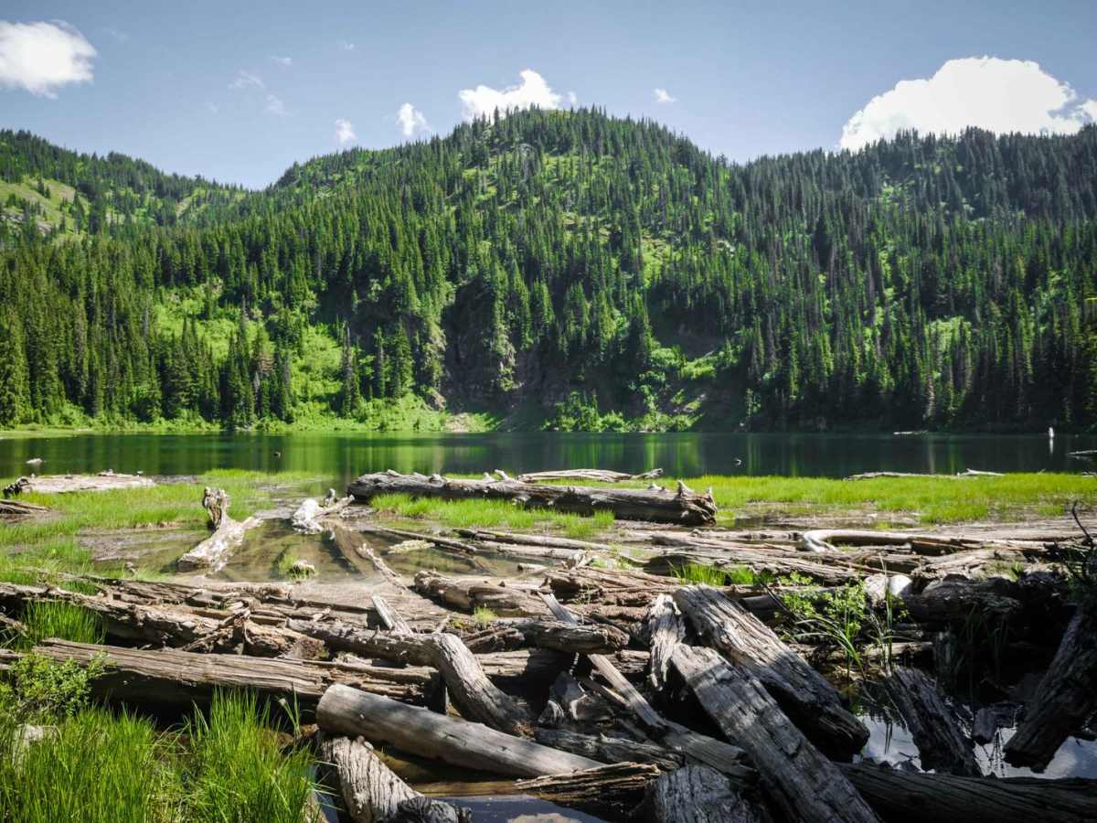 Lake Elsie Ridge ATV trail photo