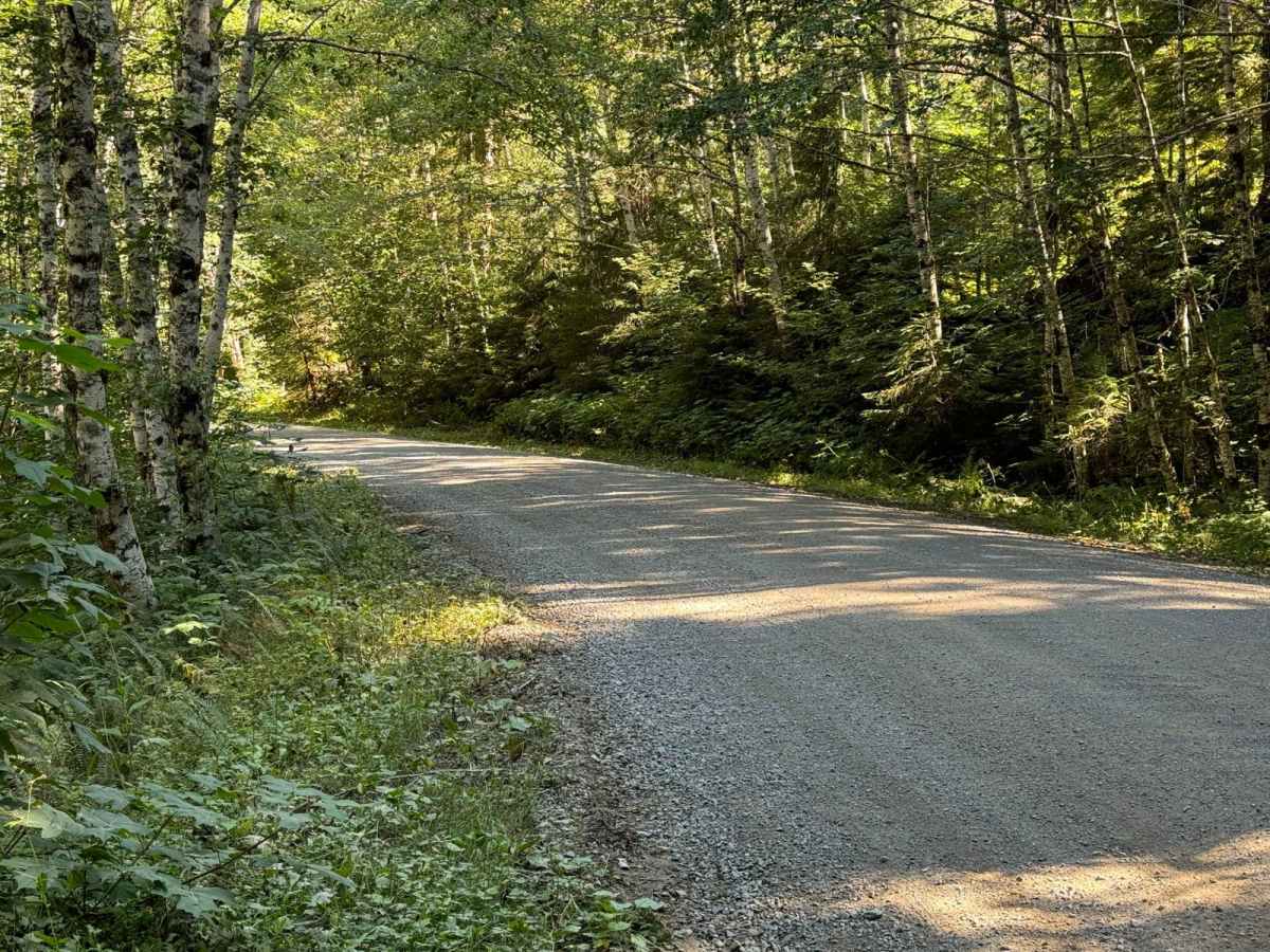 Mountain Loop photo 4