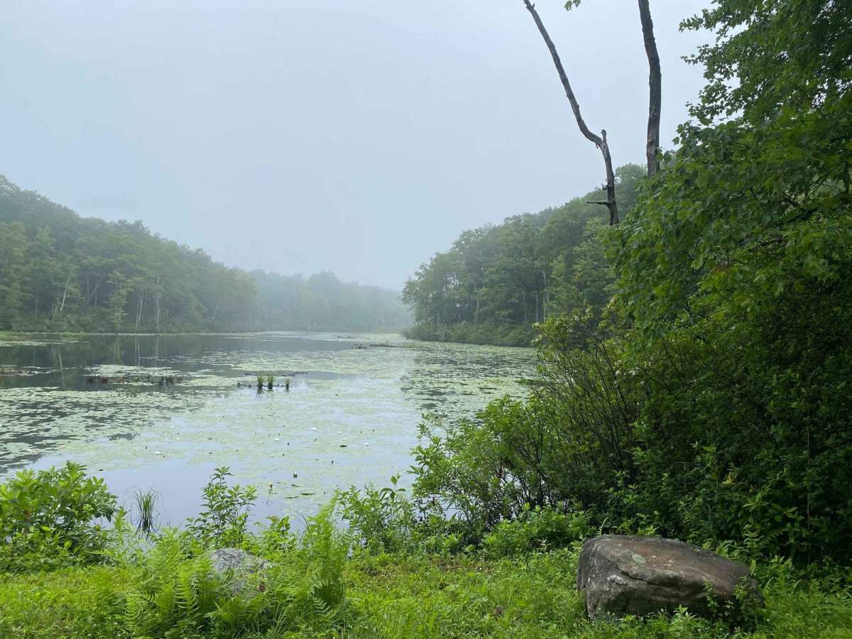 Filley Road photo 5