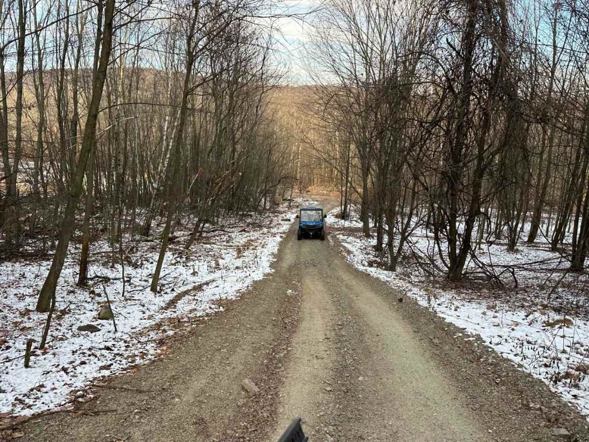 Locust Gap 30 photo 2