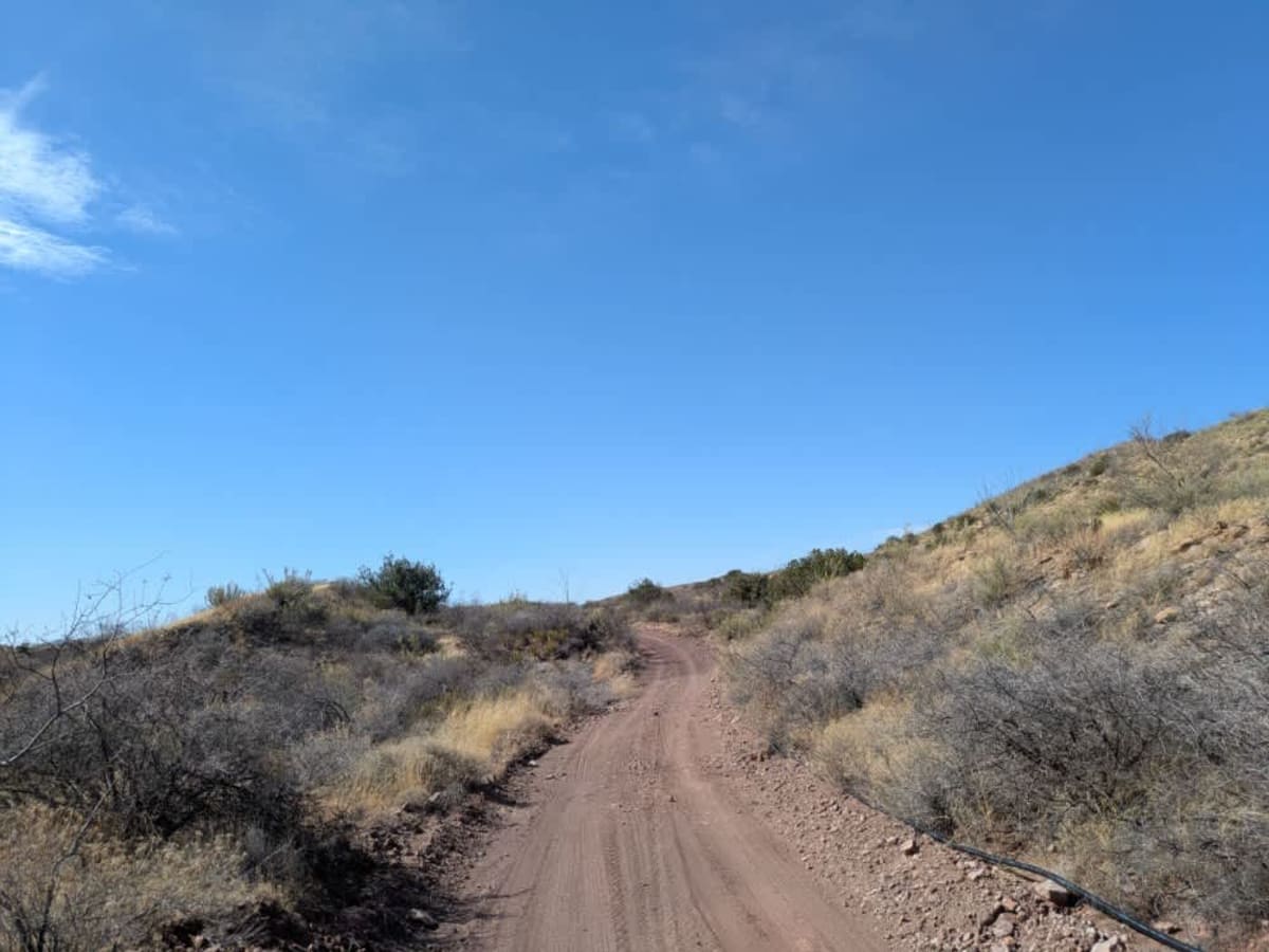 FR6911 photo 4