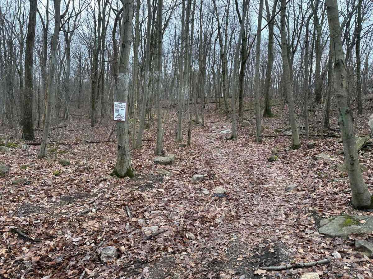 ATV Trail 70 photo 3
