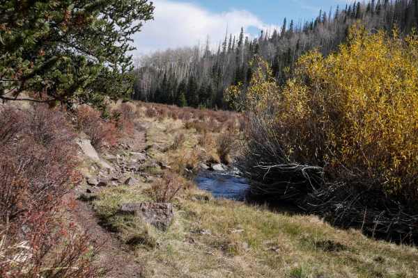 La Garita Creek Single Track
