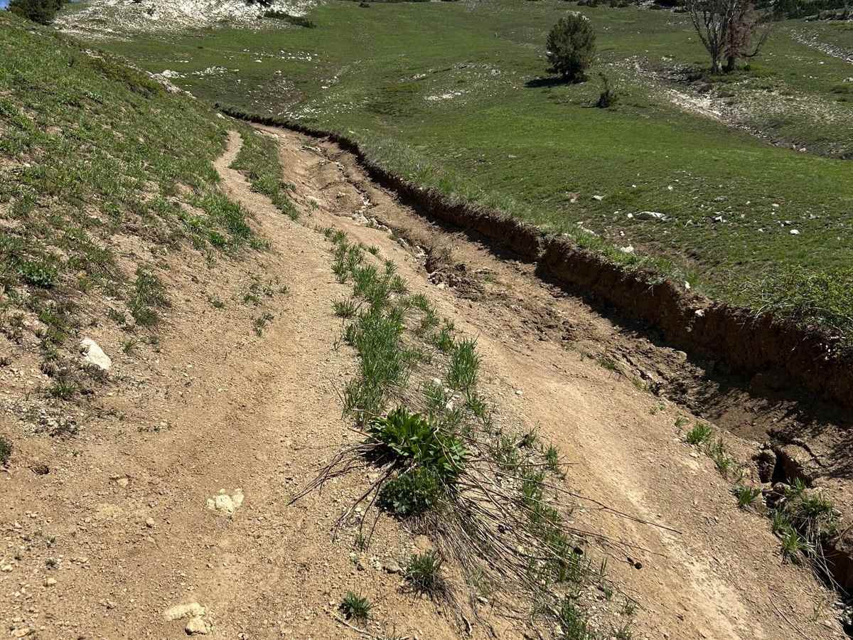 Mill Flat Gulch trail photo
