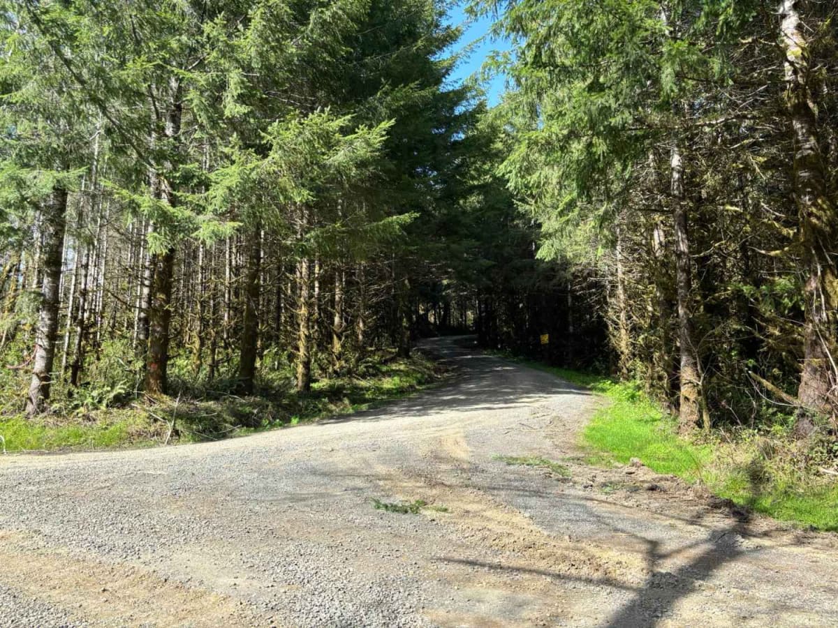 McPherson Road trail photo