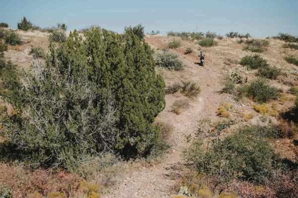 Camp Verde Trail #545 (North)