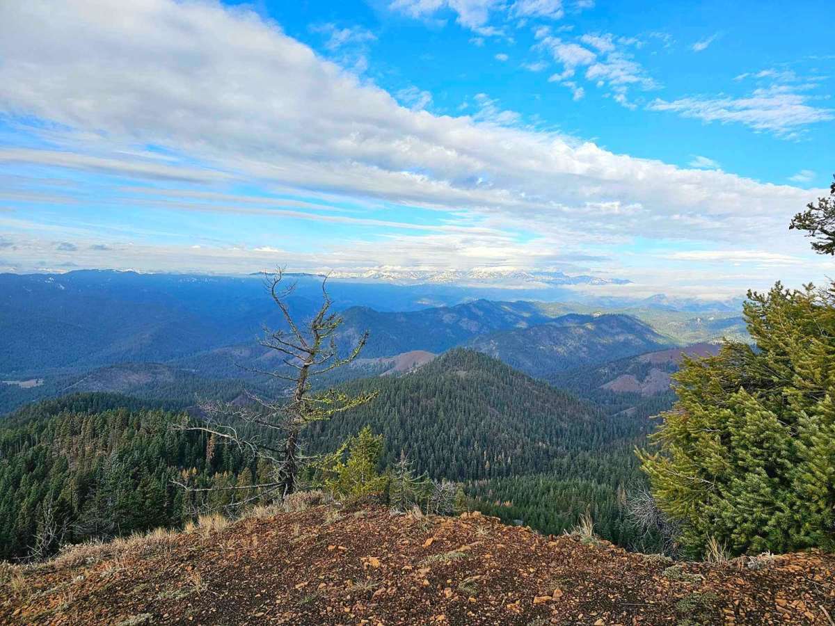 Blue Creek NF9738 trail photo