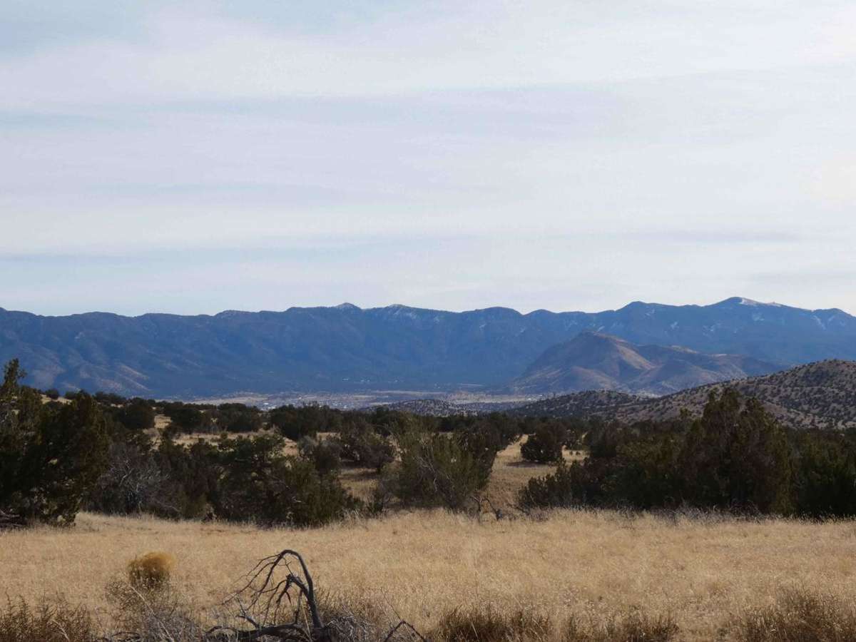 Gallinas Canyon trail photo