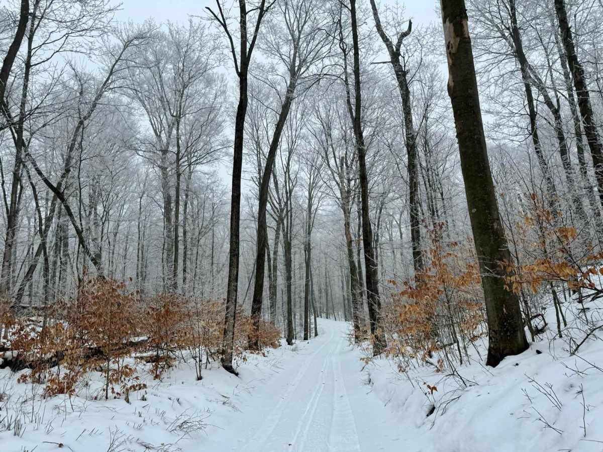 West Darwin Road trail photo