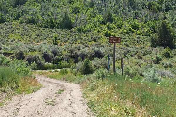 Roy's Elk Bugling Trail