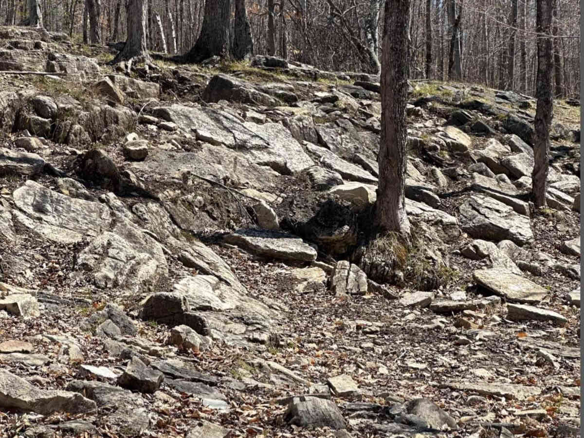 Cliff Hanger Loop photo 5