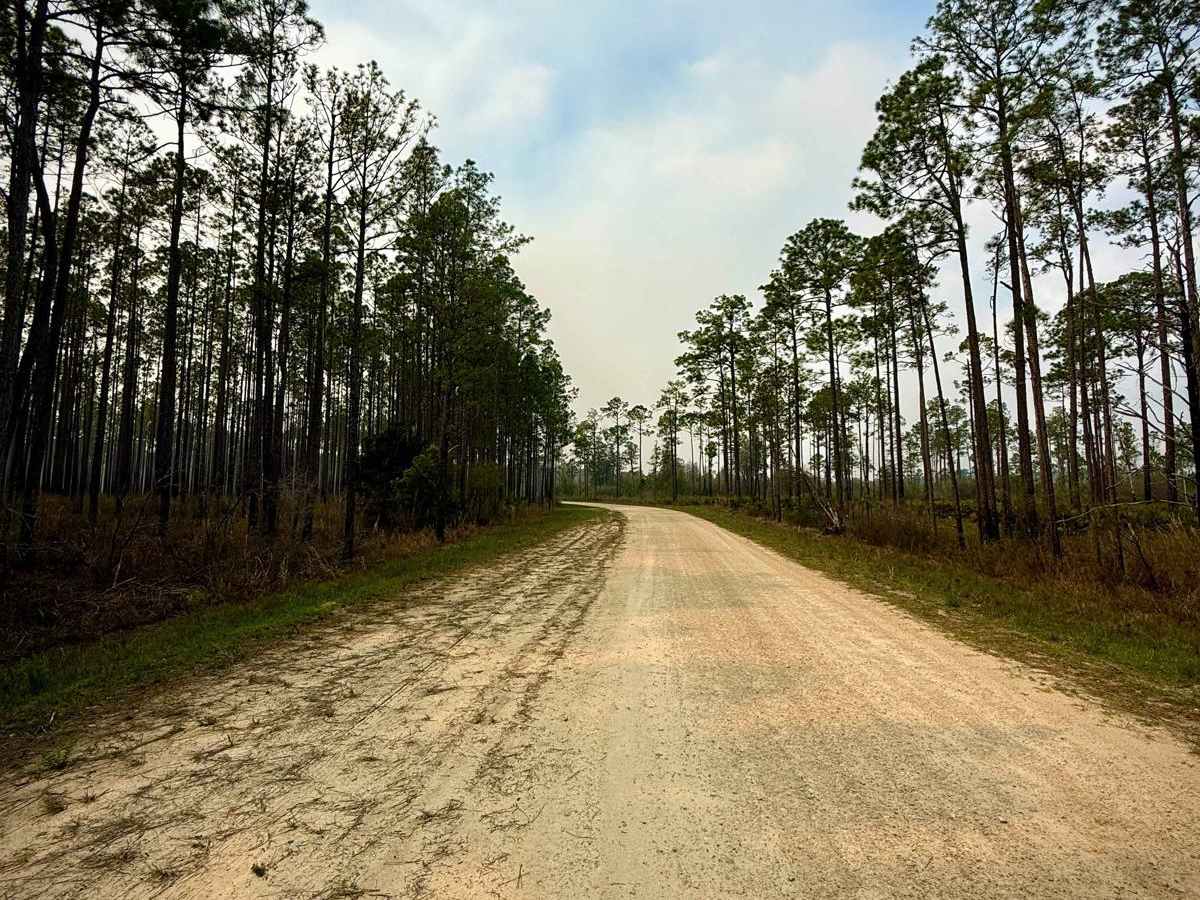 Forest Highway 13 West 65 photo 4
