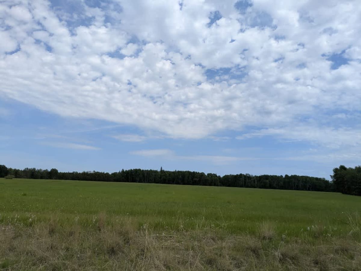 26 photo 5