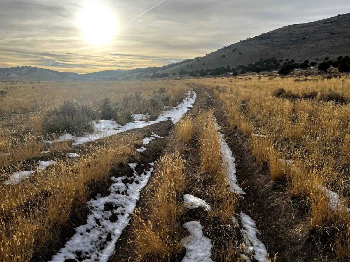 Two Track Trail photo 2