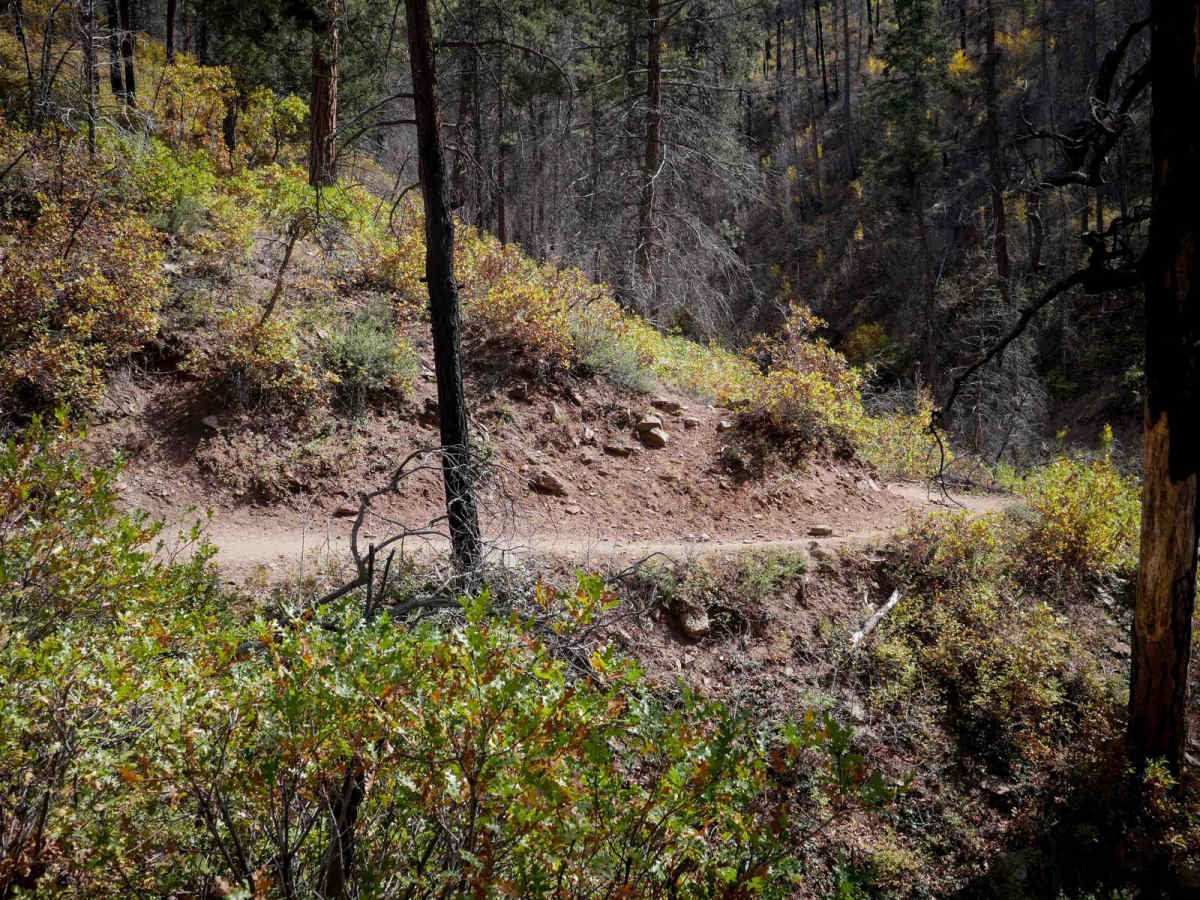 Hermosa Creek ATV photo 4