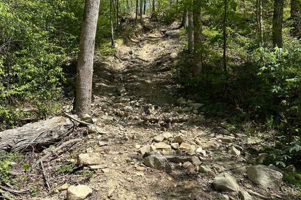 Trail 34 Grizzly Hill