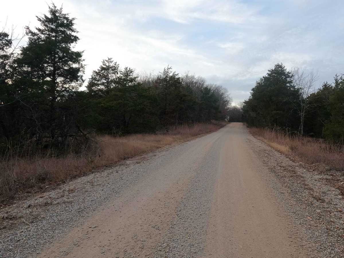 Skyline Drive - FS 150 photo 4