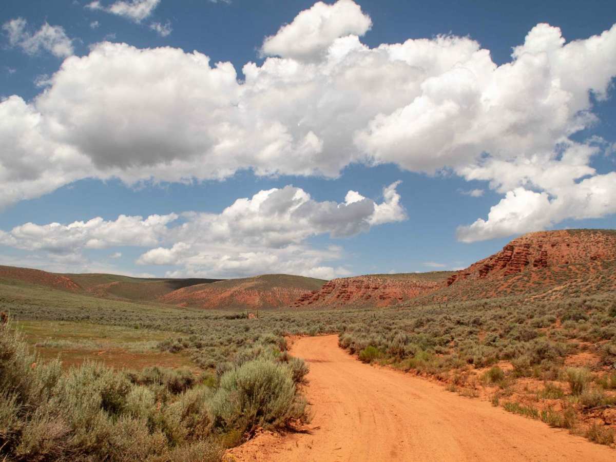 Cutoff Canyon - BLM AR11 photo 4