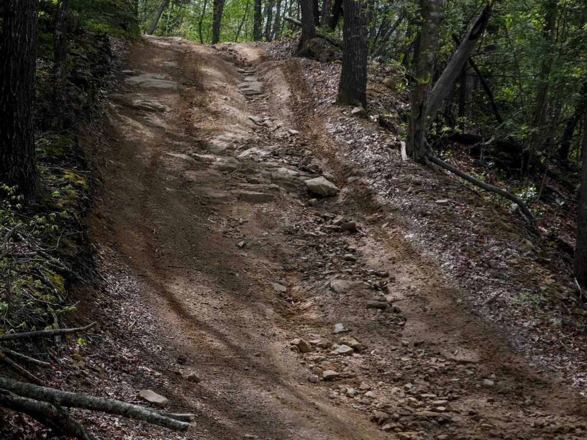 W54 trail photo