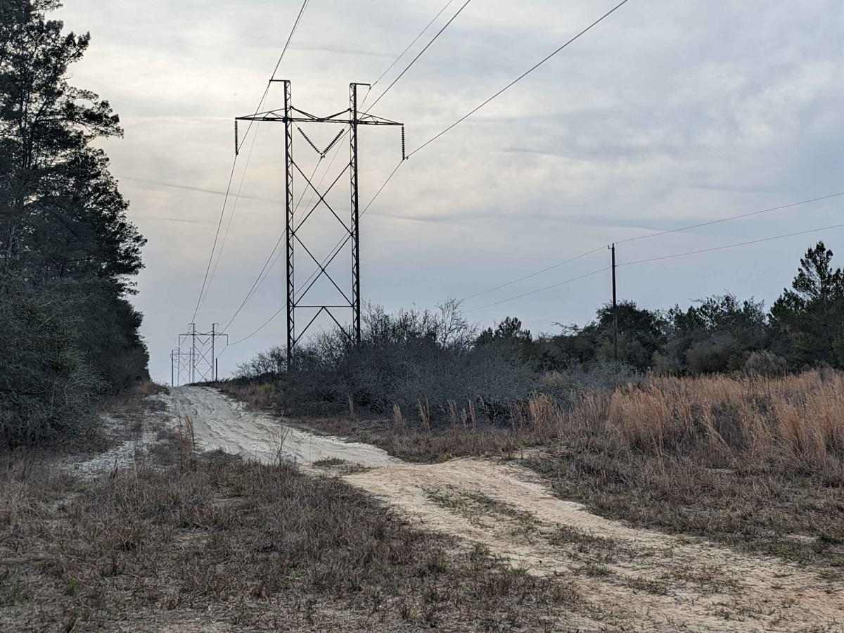 South Cross/Powerline Run trail photo