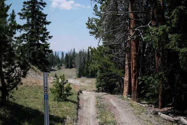 Beef Pasture ATV