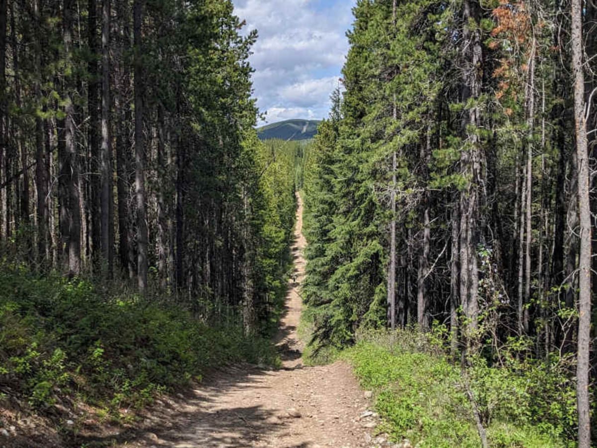 Allison creek Trail trail photo