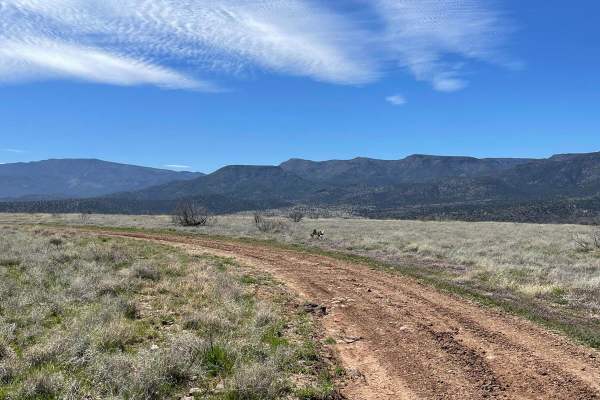 Lower Verde Valley Overlook
