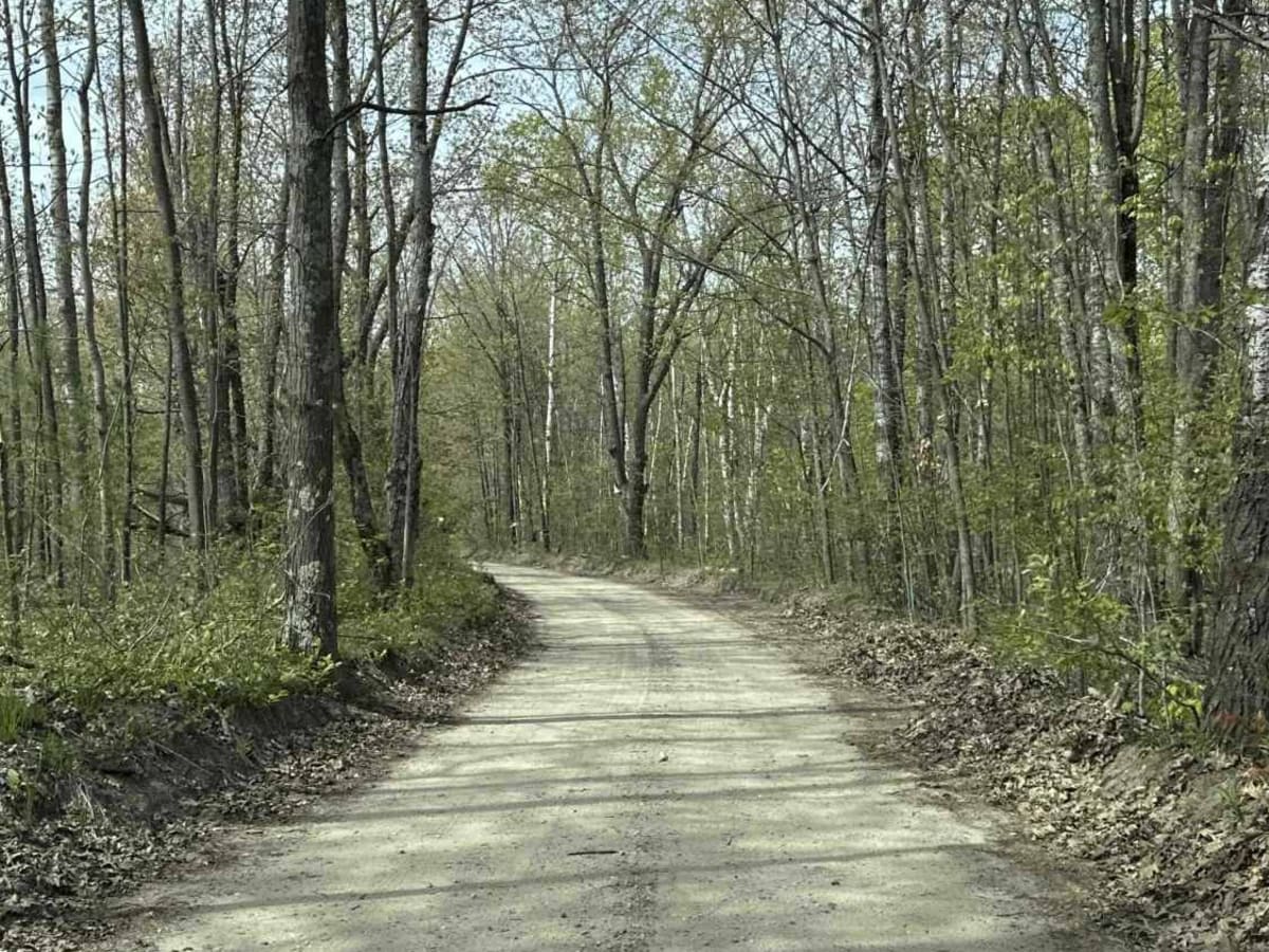 Sand Hill Trail photo 3
