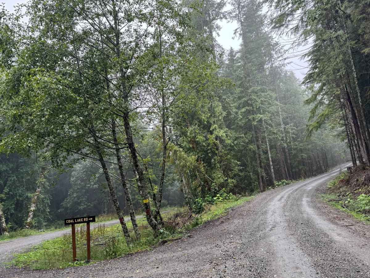 Coal Lake photo 4
