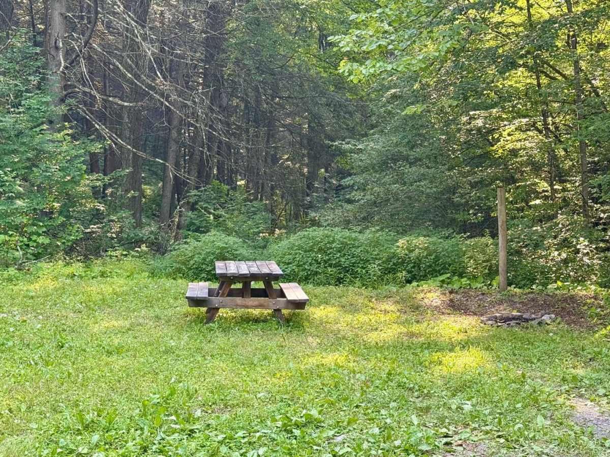 Trout Run Road photo 6