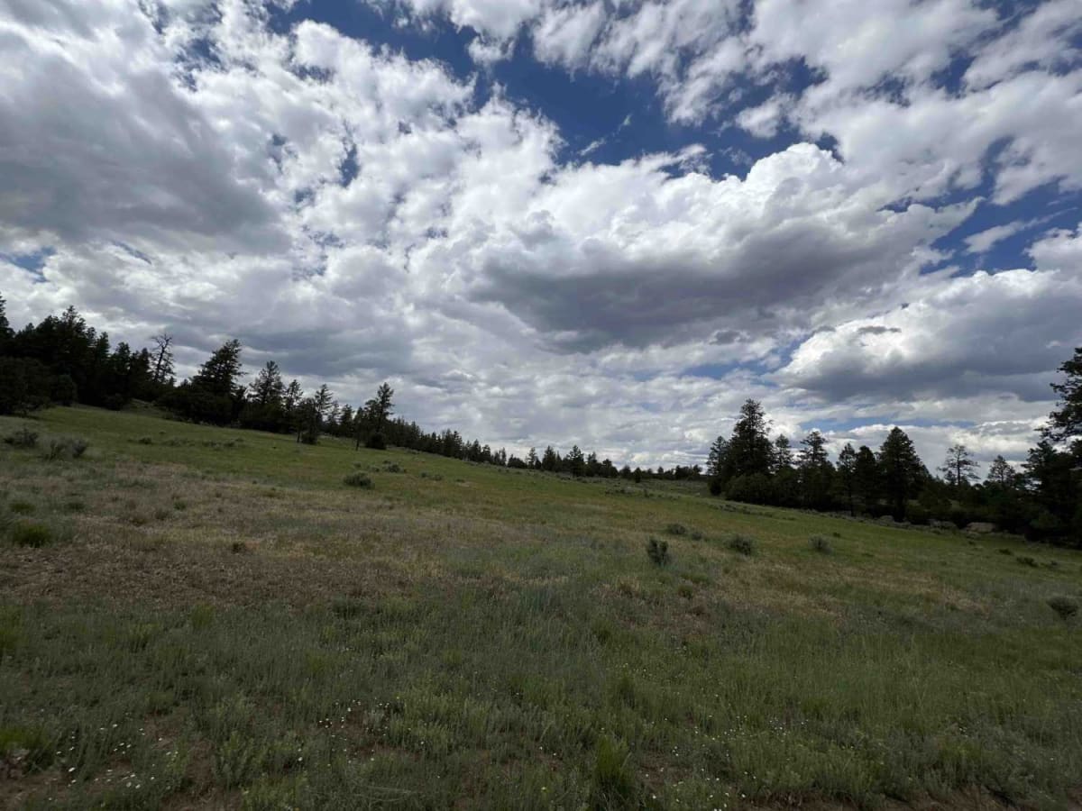 Cedar Springs Loop photo 5