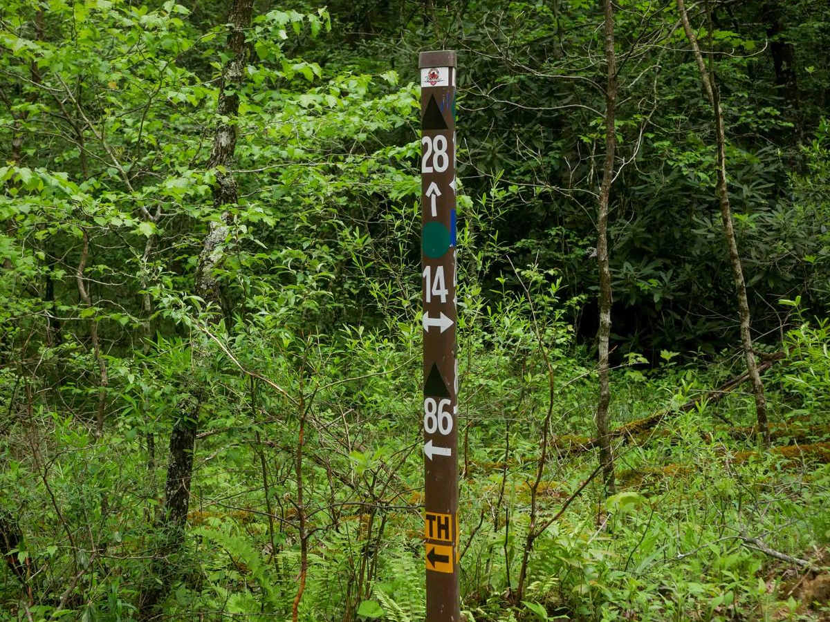 28 Connector trail photo