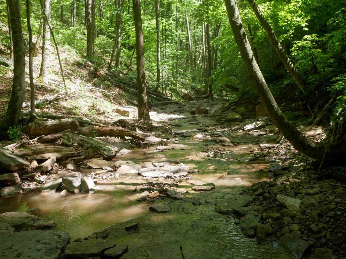 Trail 29 photo 4