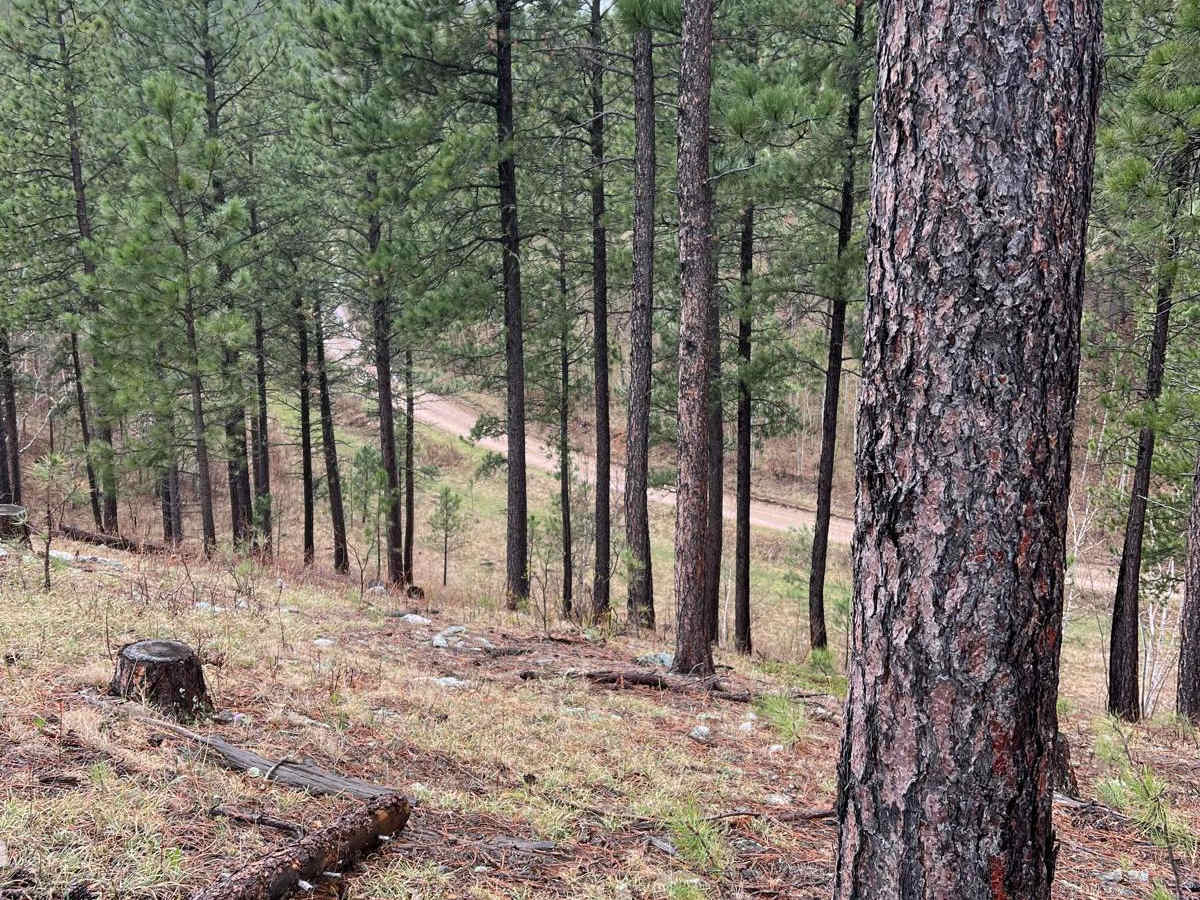 Merritt Peak SE Leg photo 4