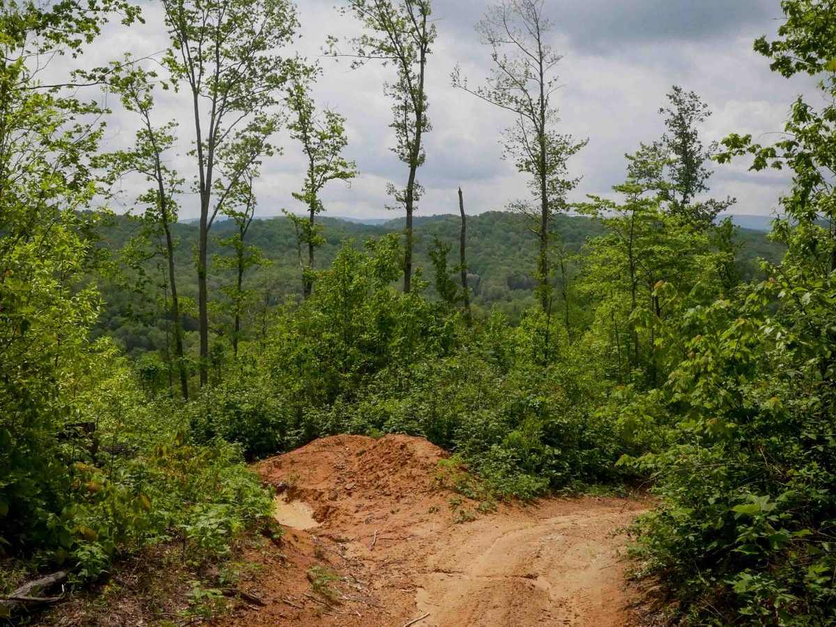 OP 87 trail photo