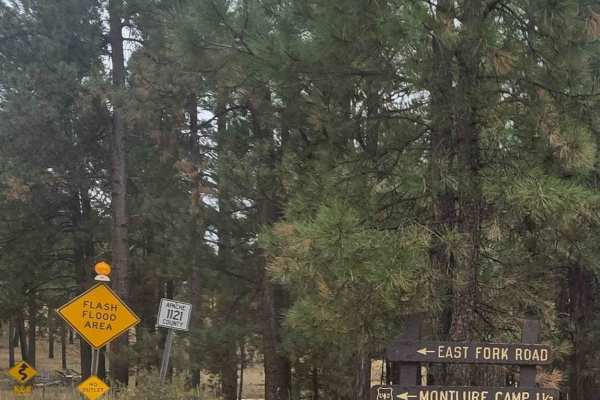 East Fork